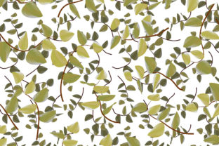 Floral Natural Branches Pattern